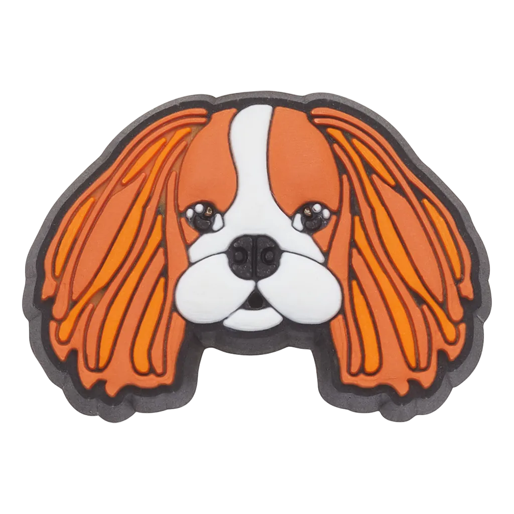 Jibbitz™ Cavalier Dog