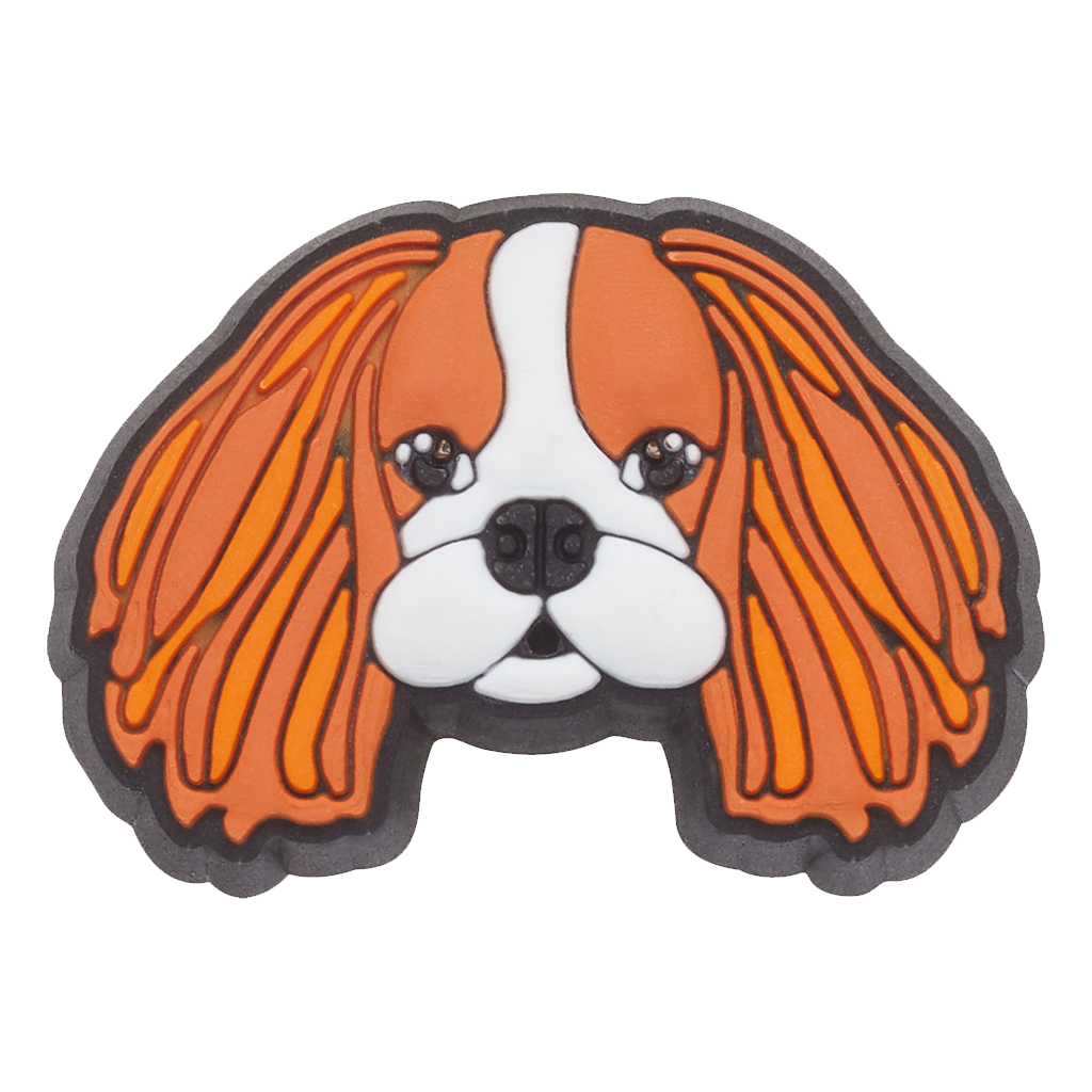 Jibbitz™ Cavalier Dog
