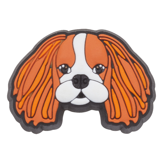 Jibbitz™ Cavalier Dog