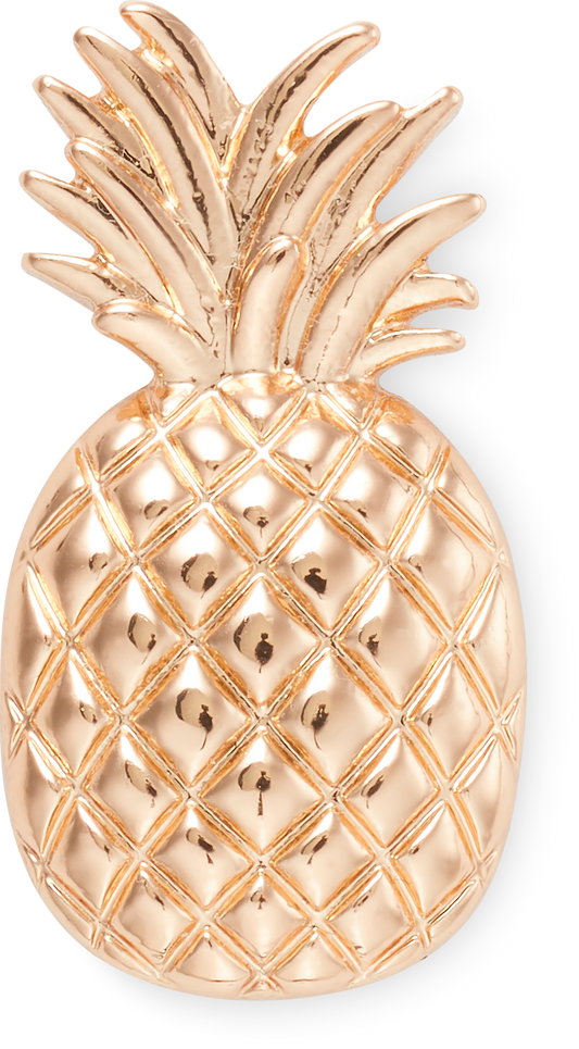 Jibbitz™  Gold Pineapple