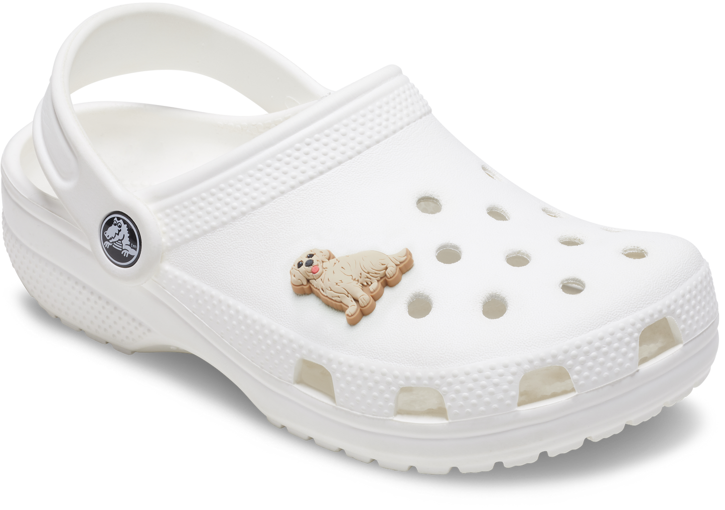 Jibbitz™ GOLDEN RETRIEVER PUPPY