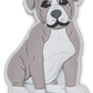 Jibbitz™ PIT BULL PUPPY